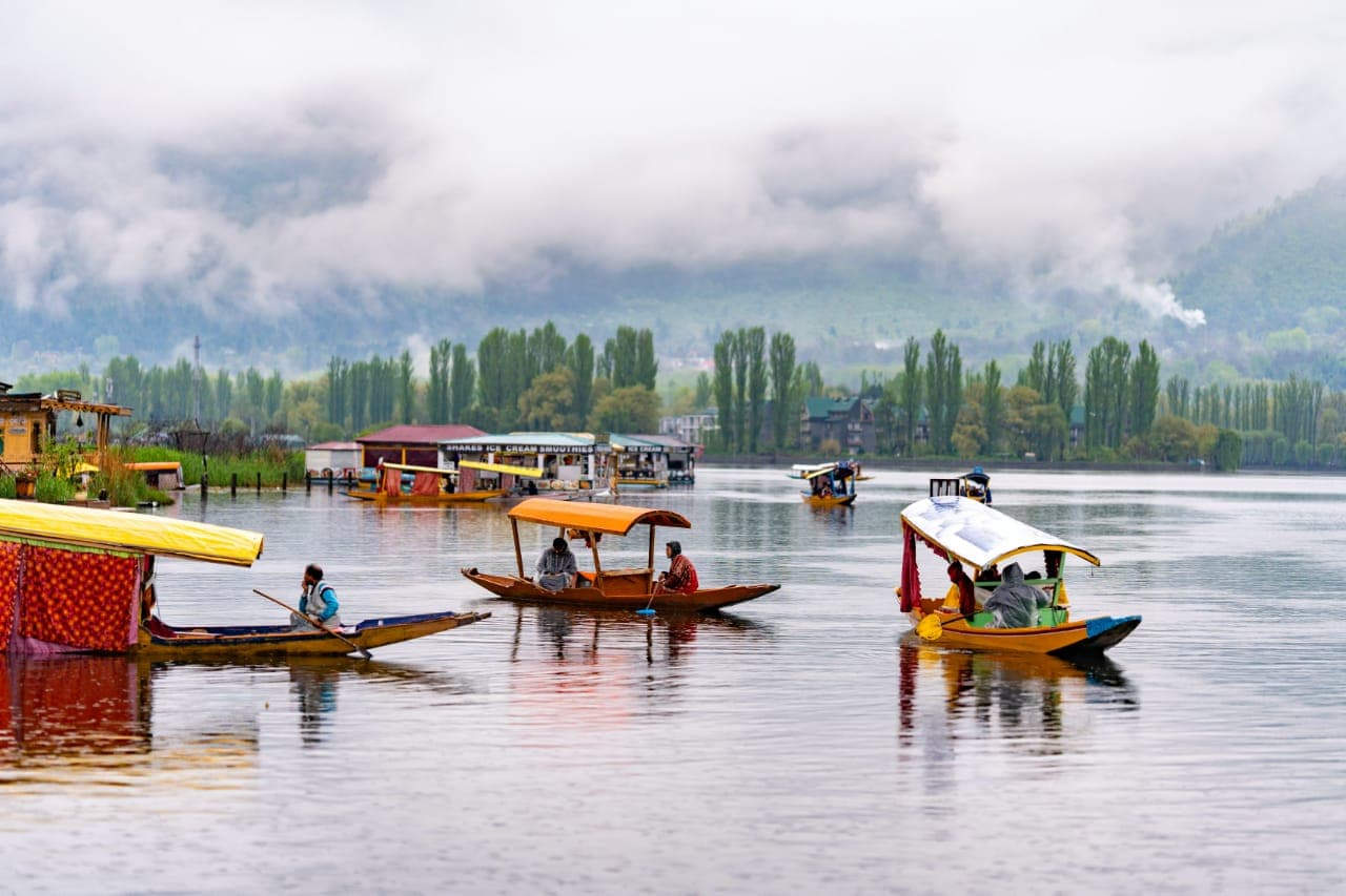 Kashmir